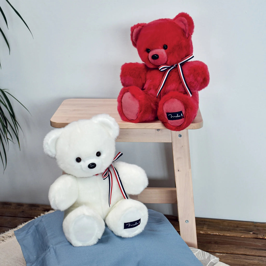 L'Ours Français : Rond et Généreux